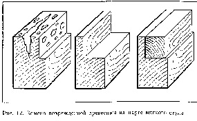 Матвеева Т. А. Реставрация столярно-мебельных изделий
